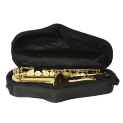 Altsaxofon Trevor James Alpha 371A2, lakeret